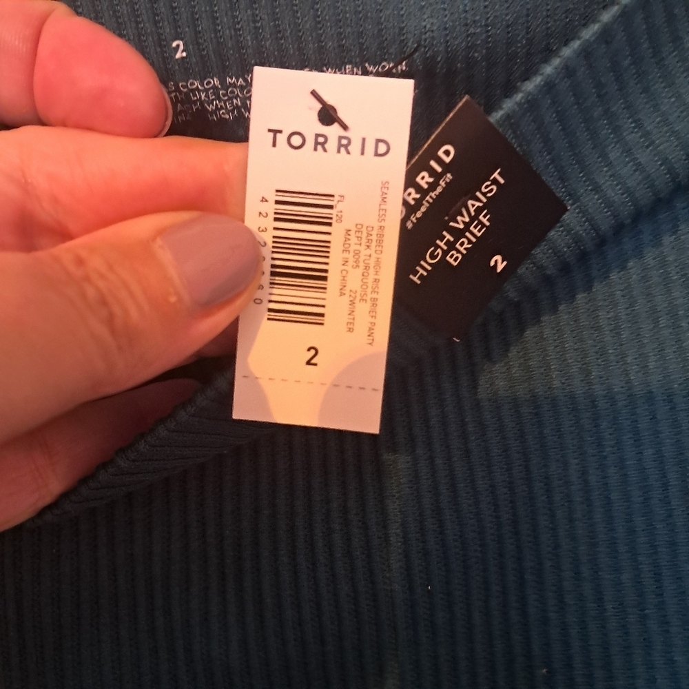 Torrid Teal High Rise Ribbed Panties - Picture 4 of 5